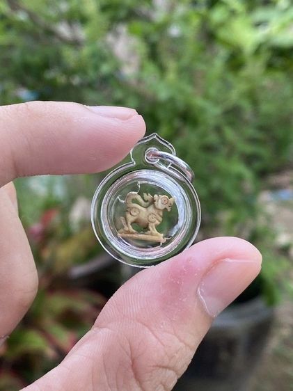 สิงห์หลวงพ่อหอม วัดชากหมาก รูปที่ 5