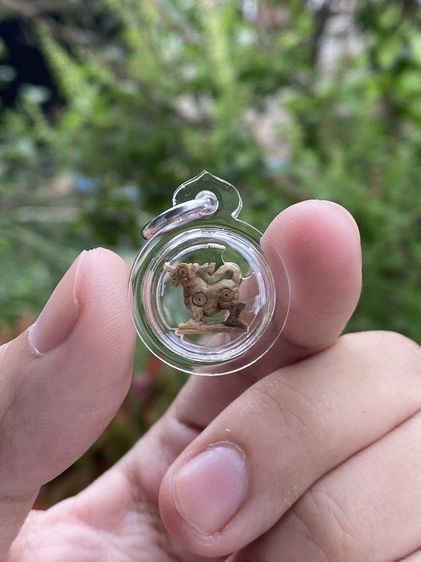 สิงห์หลวงพ่อหอม วัดชากหมาก รูปที่ 4