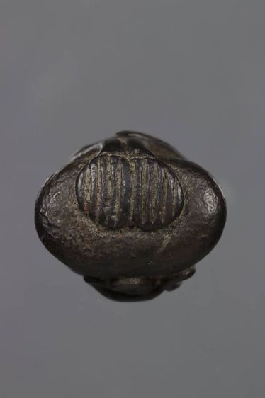 พระปิดตา รูปที่ 5