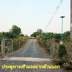 ​🔥 ขายด่วน ที่ดินบ้านสวนเกษตรพอเพียง 5 ไร่3 งาน 77 ตารางวา ครบ จบ ในที่เดียว 🔥 รูปที่ 3