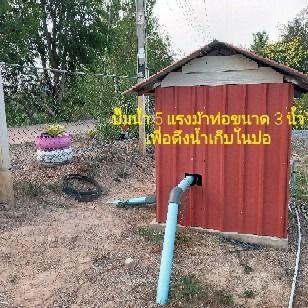 ​🔥 ขายด่วน ที่ดินบ้านสวนเกษตรพอเพียง 5 ไร่3 งาน 77 ตารางวา ครบ จบ ในที่เดียว 🔥 รูปที่ 4