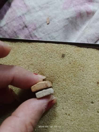 พระปากน้ำพระเก่าหายาก รูปที่ 10