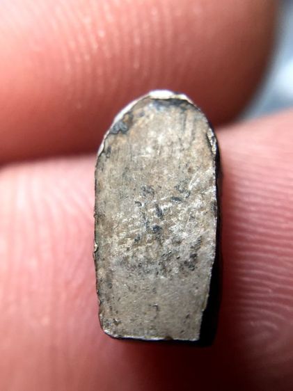 พระนาคประใบมะขาม รูปที่ 7