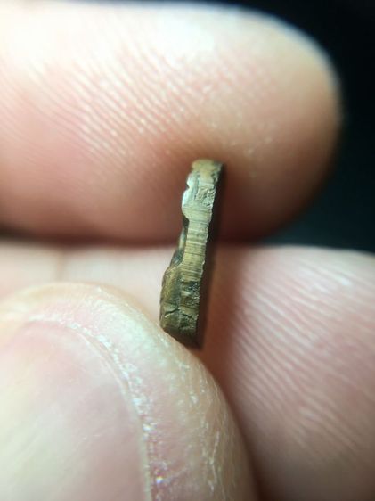 พระนาคประใบมะขาม รูปที่ 5