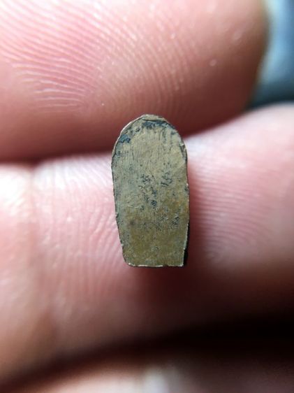 พระนาคประใบมะขาม รูปที่ 2