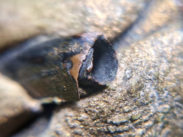 (ปิดแล้วครับ)ลงทองบรอนท์เก่าฝังตะกรุดหนาๆ2ดอก ส่วนตัวดูเป็นของ หลวงปู่ทิมวัดระหารไร่ พึ่งได้มาเป็นลูกแรก ที่ฝังตะกรุด น่าเก็บครับ  รูปที่ 3