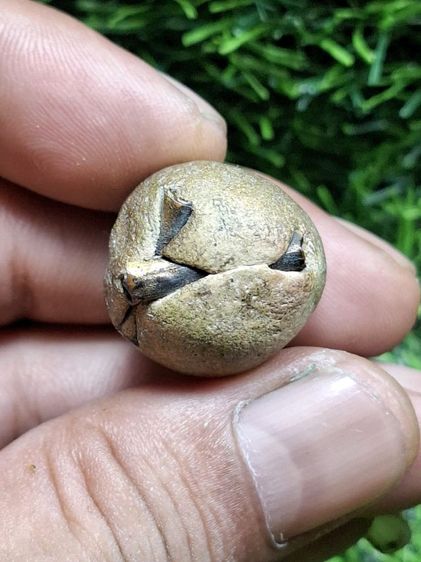 (ปิดแล้วครับ)ลงทองบรอนท์เก่าฝังตะกรุดหนาๆ2ดอก ส่วนตัวดูเป็นของ หลวงปู่ทิมวัดระหารไร่ พึ่งได้มาเป็นลูกแรก ที่ฝังตะกรุด น่าเก็บครับ  รูปที่ 2