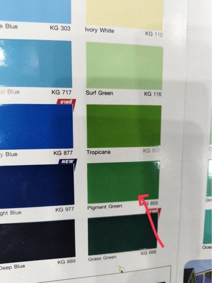 สีน้ำมัน รูปที่ 5