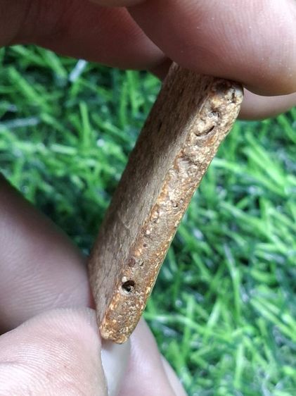 (ปิดแล้วครับ)เส้นด้ายกรุบางขุนพรหม เนื้อจัดสวย มีคราบกรุสีน้ำตาลฝังติดตามองค์พระ รูปที่ 3