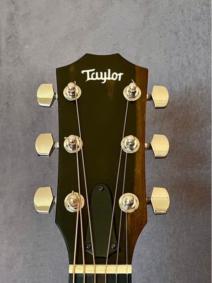 กีต้าร์ taylor 214ce k sb รูปที่ 8