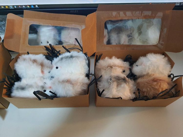 แฮมสเตอร์ตุ๊กตาขนปุกปุย รูปที่ 7