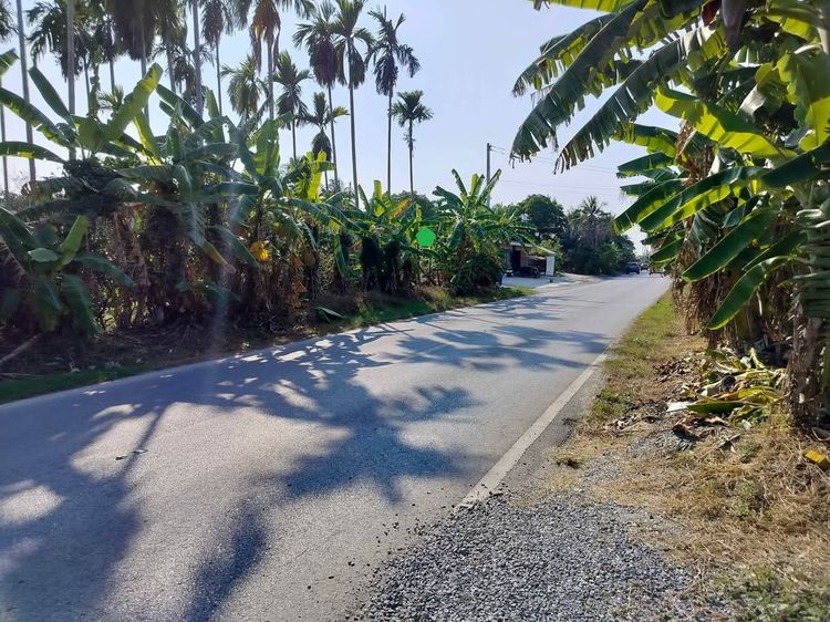 ขายที่ดิน200ตรว.ติดถนนสาย6 (ถนน3316 วัดไร่ขิง-โรงงานแตงโม) อ.สามพราน จ.นครปฐม รูปที่ 4