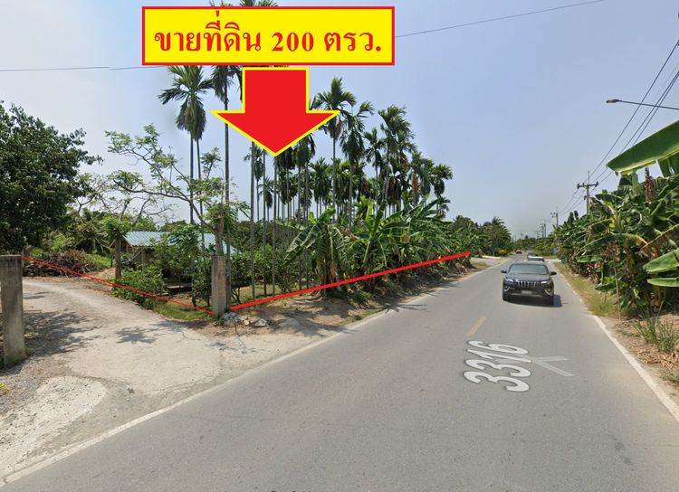 ขายที่ดิน200ตรว.ติดถนนสาย6 (ถนน3316 วัดไร่ขิง-โรงงานแตงโม) อ.สามพราน จ.นครปฐม รูปที่ 3