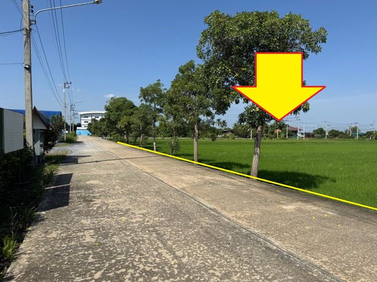 ขายที่ดิน 15-2-37.5 ไร่ หลังเซ็นทรัลศาลายา อ.สามพราน จ.นครปฐม รูปที่ 3