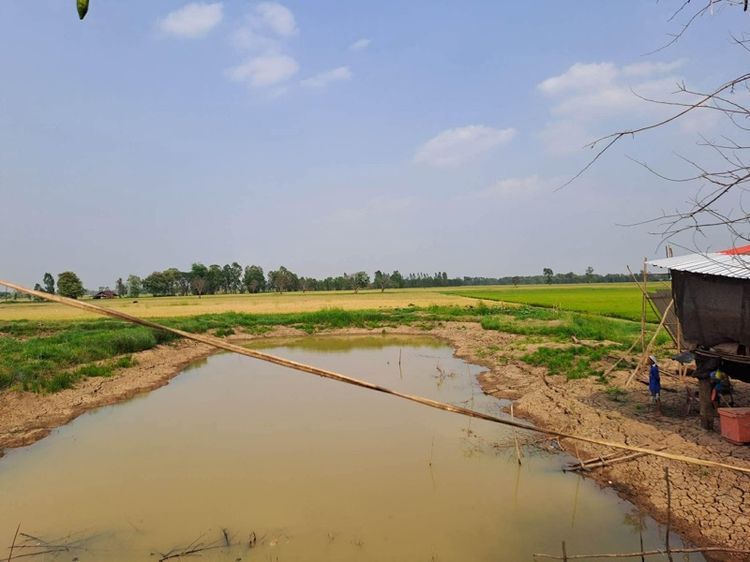 ที่ดินมหาสารคาม รูปที่ 4