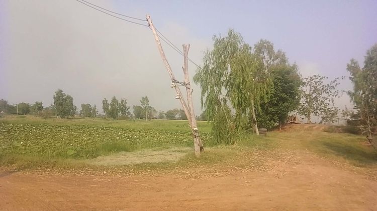 ที่ดินมหาสารคาม