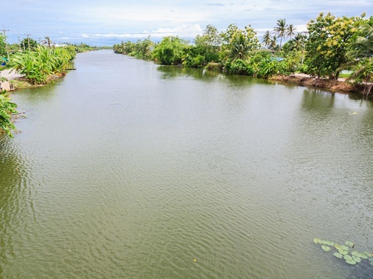 ขายที่ดินแปลงสวยติดคลองตาขำ ใกล้ถนนเส้นปากทางบ้านแพ้ว ที่ดินเนื้อที่10ไร่3งาน58ตรว.อ.บ้านแพ้ว จ.สมุทรสาคร รูปที่ 2