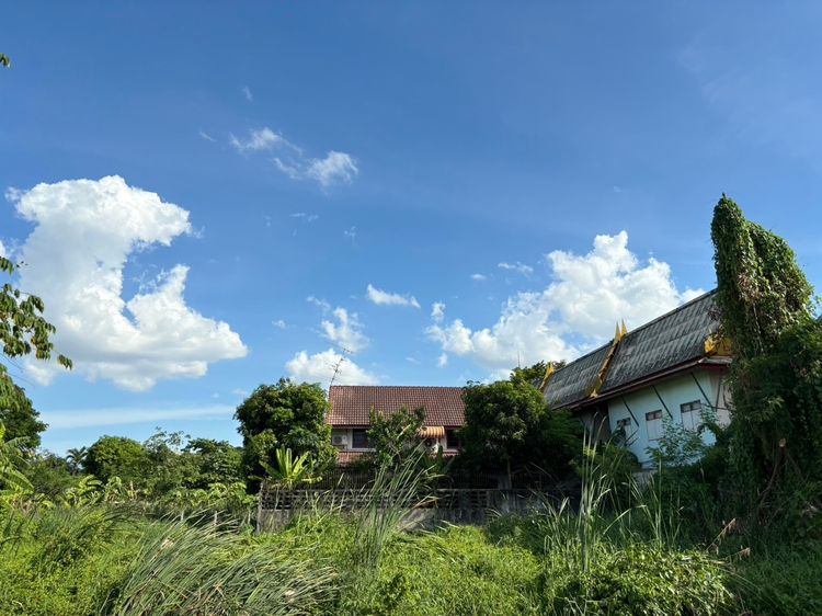 ขายที่ดินพุทธมณฑลสาย 3 ซอย 18 (เนื้อที่ 82.5 ตร.วา) เขตทวีวัฒนา เจ้าของขายเอง สนใจต่อรองราคาได้ค่ะ รูปที่ 4