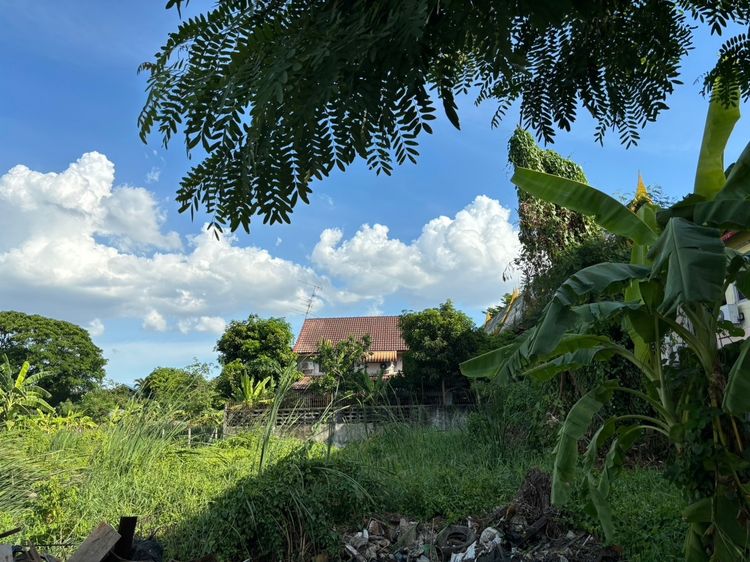 ขายที่ดินพุทธมณฑลสาย 3 ซอย 18 (เนื้อที่ 82.5 ตร.วา) เขตทวีวัฒนา เจ้าของขายเอง สนใจต่อรองราคาได้ค่ะ รูปที่ 3