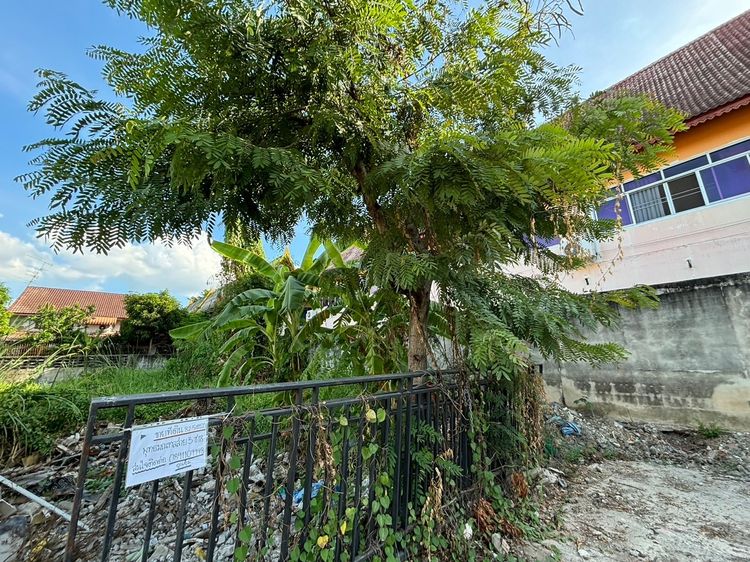 ขายที่ดินพุทธมณฑลสาย 3 ซอย 18 (เนื้อที่ 82.5 ตร.วา) เขตทวีวัฒนา เจ้าของขายเอง สนใจต่อรองราคาได้ค่ะ