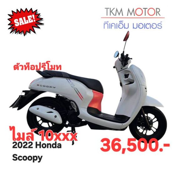 ขายด่วน honda scoopy ปี 2022