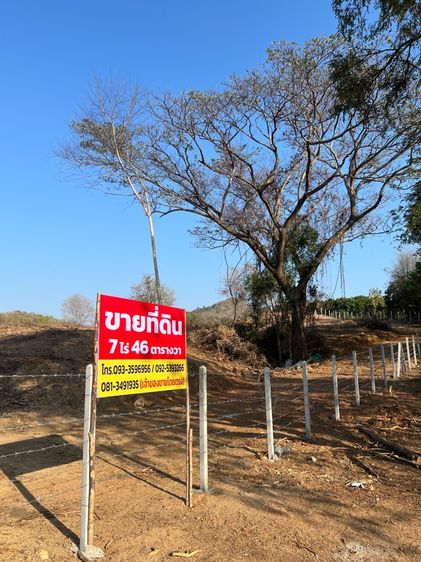 ที่ดิน 7 ไร่