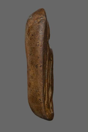 พระลีลาเม็ดขนุน รูปที่ 3