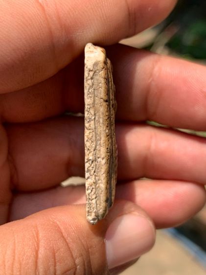 พระสมเด็จเกศไชโย รูปที่ 3