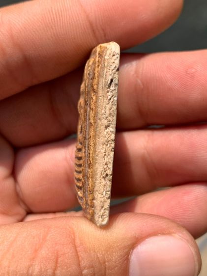 พระสมเด็จเกศไชโย รูปที่ 4