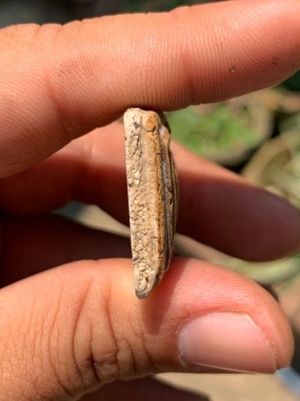 พระสมเด็จเกศไชโย รูปที่ 6