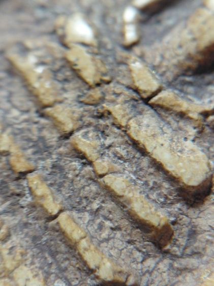 พิมพ์ใหญ่วัดระฆัง รูปที่ 9