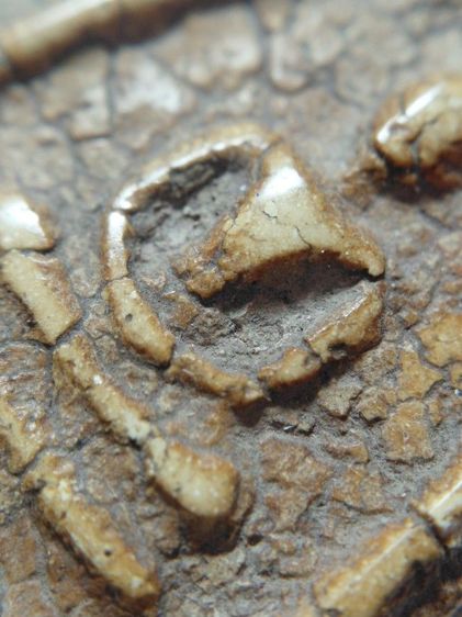 พิมพ์ใหญ่วัดระฆัง รูปที่ 8