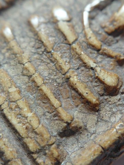 พิมพ์ใหญ่วัดระฆัง รูปที่ 9