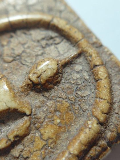 พิมพ์ใหญ่วัดระฆัง รูปที่ 7