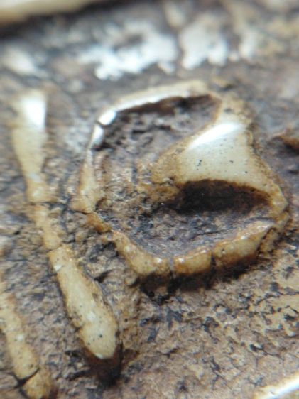 พิมพ์ใหญ่วัดระฆัง รูปที่ 8