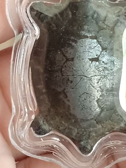 เต่าเก่า ไม่ทราบที่ เลี่ยม รูปที่ 10