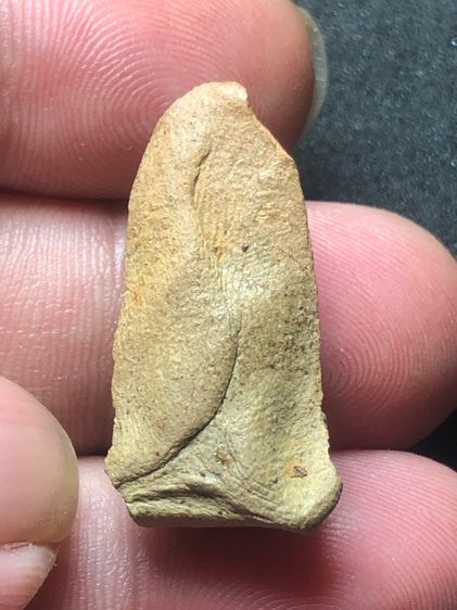 พระรอดมหาวัน พิมพ์ใหญ่  รูปที่ 2