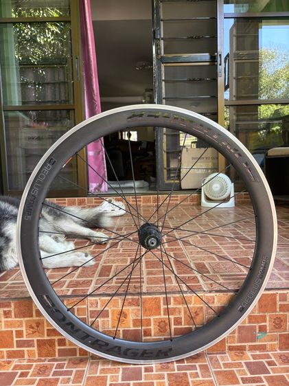 ล้อ​เสือหมอบ​ อลูและคาร์บอน​ยี่ห้อ​  bontrager รุ่น aeolus​ comp5​ มือสอง รูปที่ 4