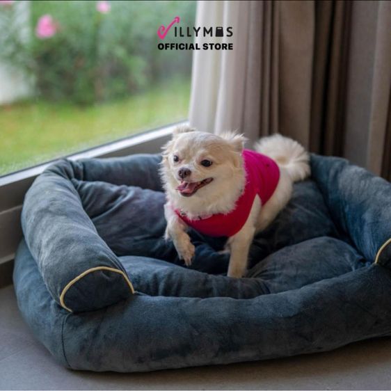 ปิดร้าน ที่นอนสุนัขและแมว ใหม่ 100 เปอร์เซ็นต์ ราคาส่ง ขั้นต่ำ 100 ชิ้น