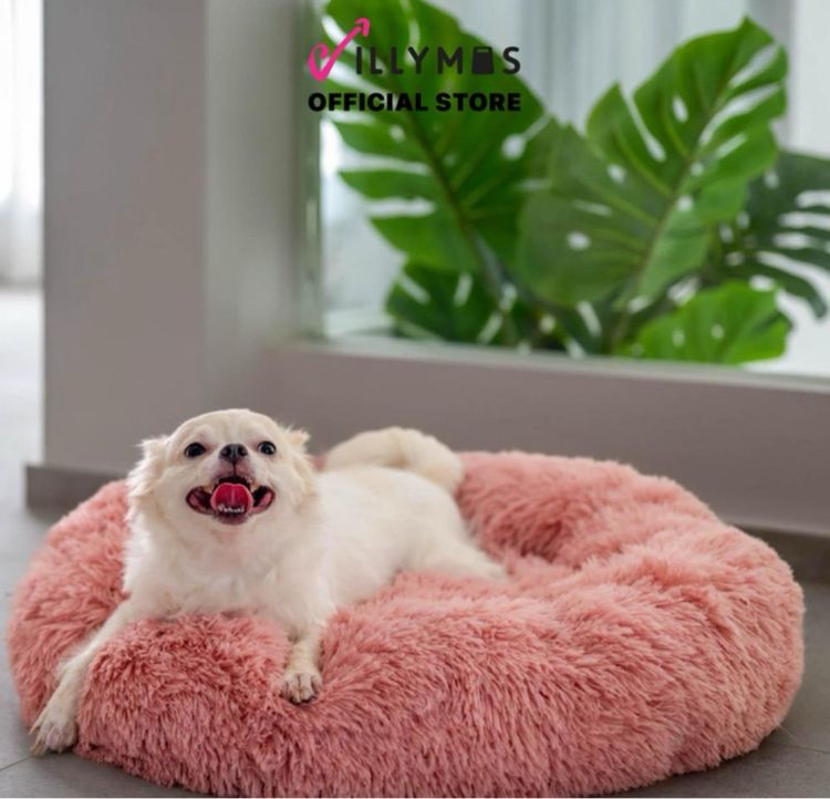 ปิดร้าน ที่นอนสุนัขและแมว ใหม่ 100 เปอร์เซ็นต์ ราคาส่ง ขั้นต่ำ 100 ชิ้น รูปที่ 4