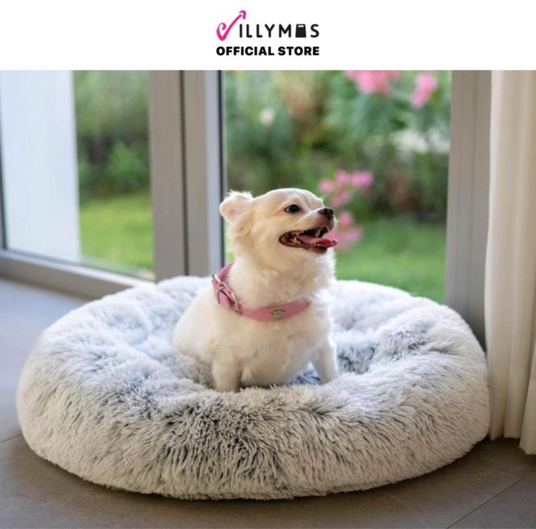 ปิดร้าน ที่นอนสุนัขและแมว ใหม่ 100 เปอร์เซ็นต์ ราคาส่ง ขั้นต่ำ 100 ชิ้น รูปที่ 2