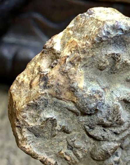 พระเครื่องเก่าๆของสะสมโบราณต่างๆ เป็นของหลุดของฝากของจำใว้นานเกินกว่า50ปี เเละเป็นของที่บ้านพ่อสะสมใว้เองค่ะ สนใจ โทรและLine 091-7968966  รูปที่ 7