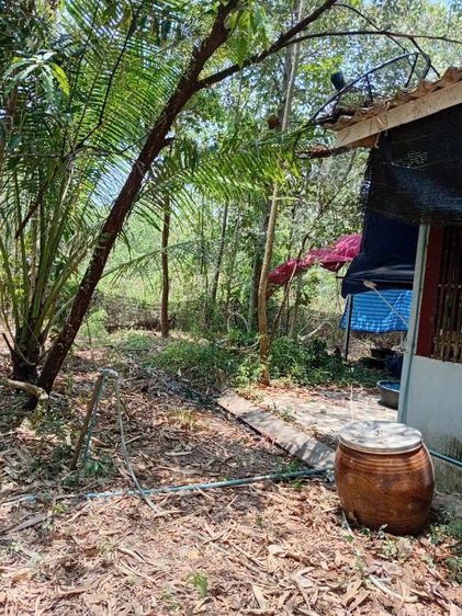 ไม่มี 2014 ไม่ใช่ ขายบ้านพร้อมที่ดิน รูปที่ 3