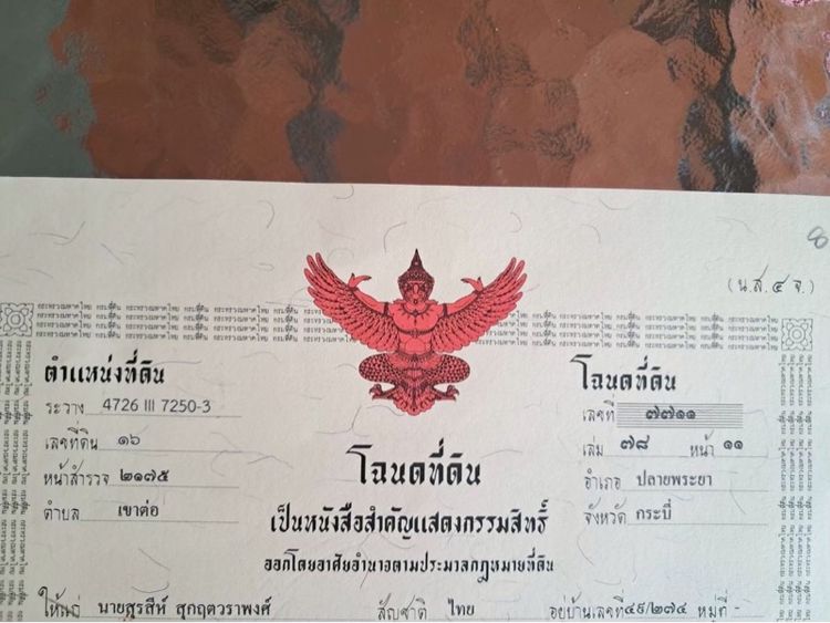 ใช่ ที่ดินทำกิน ค้าขาย เดินทางสะดวก รูปที่ 4