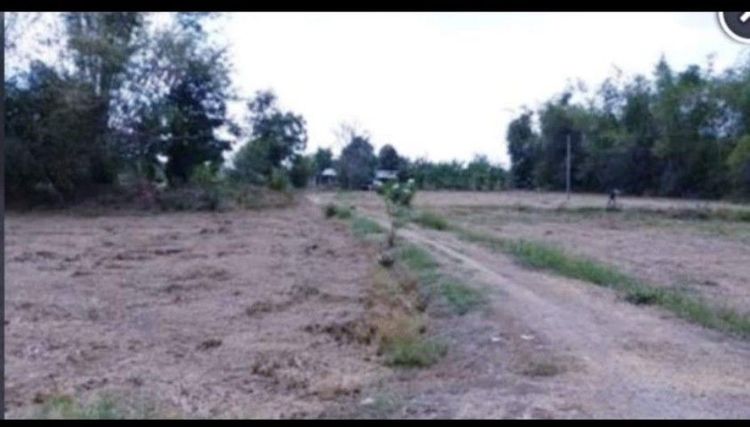 ใช่ ขายที่ดิน อ.หนองแซง จ.สระบุรี ติดถนน รูปที่ 3