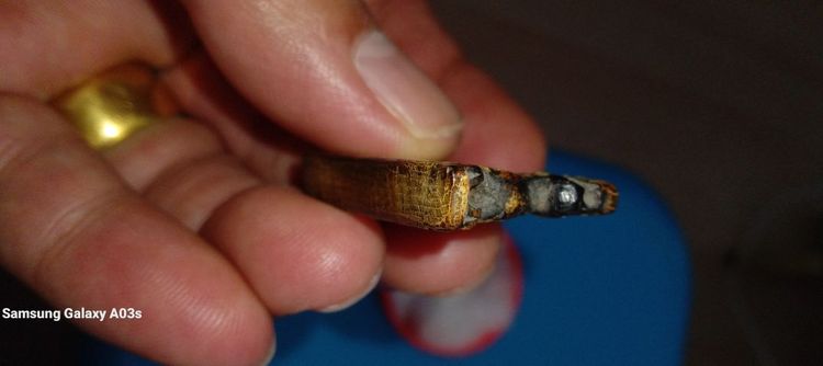 ขายสิงค์แกละลายแท้สวย รูปที่ 8