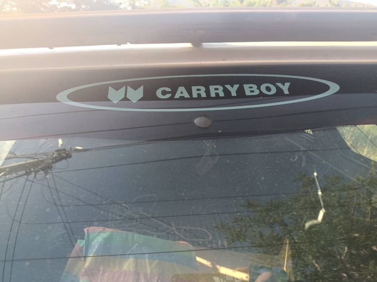 หลังคา แครี่บอย รถกระบะแคป  สภาพดี มีฝาท้ายกระจกปิด  พิกัด หน้าอ่างเก็บน้ำเฉลียงลับ นาป่า เมืองเพชรบูรณ์ รูปที่ 10