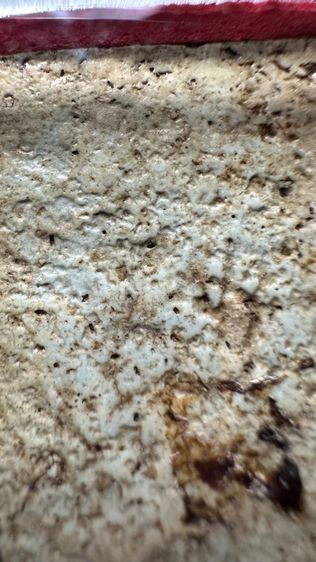 ปล่อยพระค่ะ รูปที่ 9