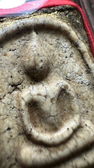 ปล่อยพระค่ะ รูปที่ 12