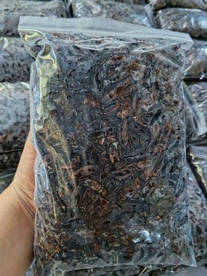 จิ้งหรีดต้มสุก รูปที่ 2